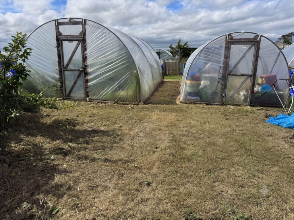 After — the same Balbriggan allotment cleared and revamped